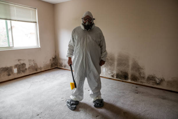 Best Crawl Space Mold Removal  in Pinckney, MI